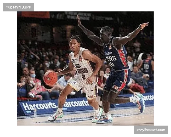 NBL季中赛角逐激烈，野猫、破坏者和子弹位列前三，跳伞蚁暂居第四